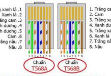 Cách bấm dây mạng theo chuẩn A và B